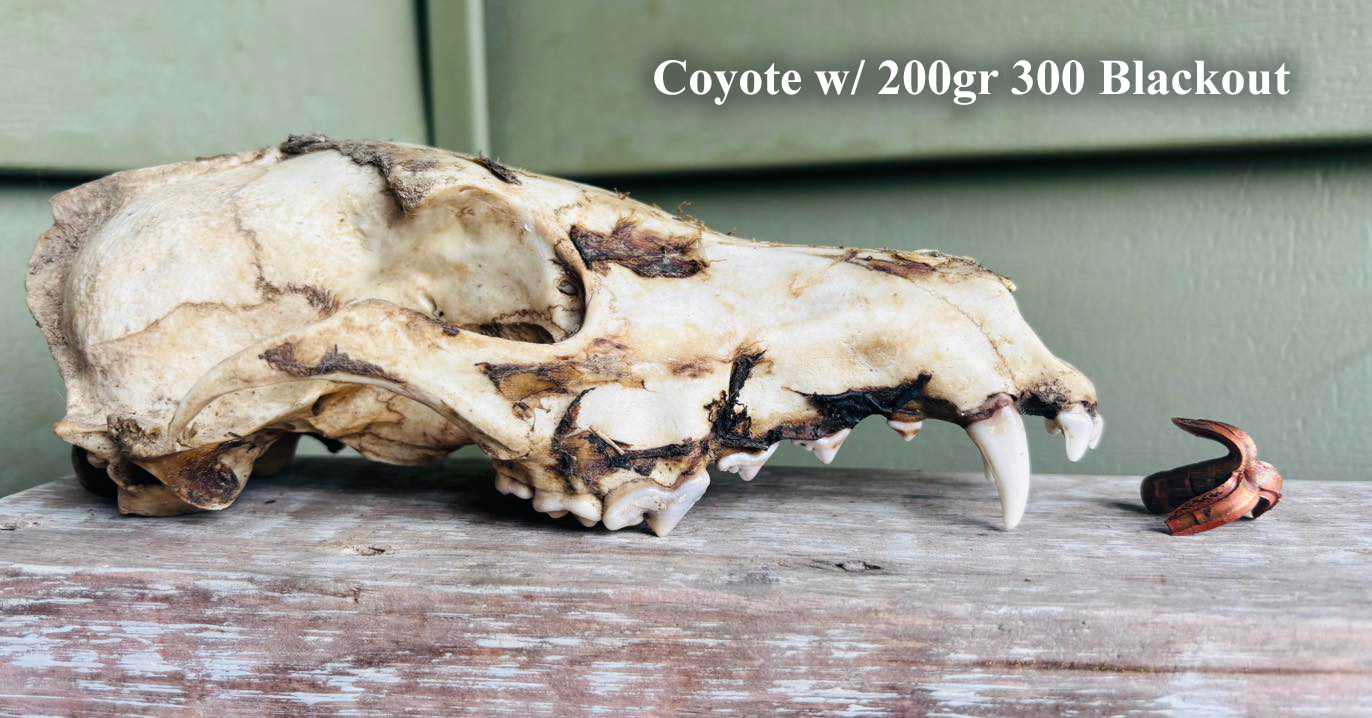 coyote 200 grain 300 blackout maker rex